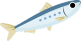 イワシ